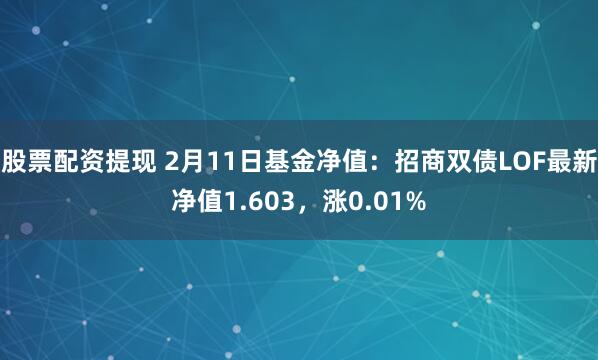 股票配资提现 2月11日基金净值：招商双债LOF最新净值1.603，涨0.01%