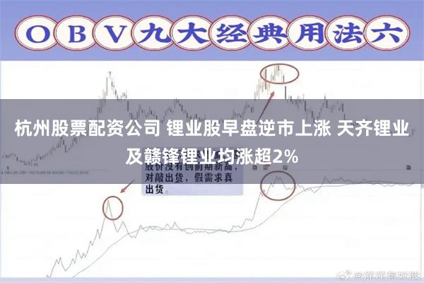 杭州股票配资公司 锂业股早盘逆市上涨 天齐锂业及赣锋锂业均涨超2%