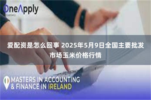 爱配资是怎么回事 2025年5月9日全国主要批发市场玉米价格行情