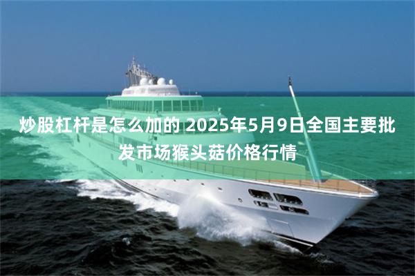 炒股杠杆是怎么加的 2025年5月9日全国主要批发市场猴头菇价格行情