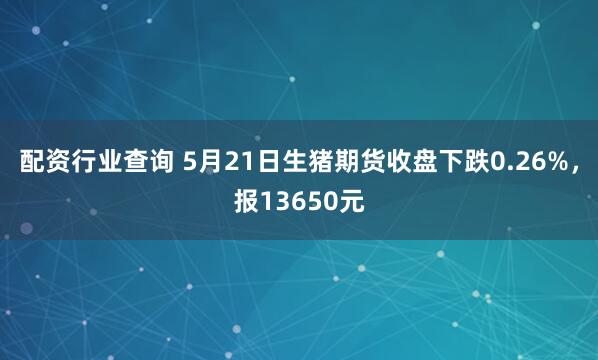 配资行业查询 5月21日生猪期货收盘下跌0.26%，报13650元