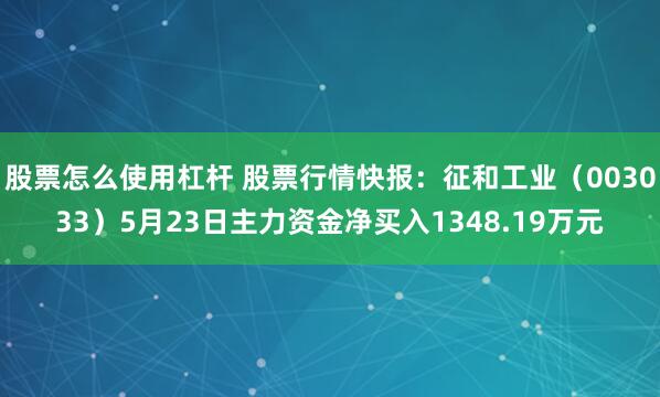 股票怎么使用杠杆 股票行情快报：征和工业（003033）5月23日主力资金净买入1348.19万元