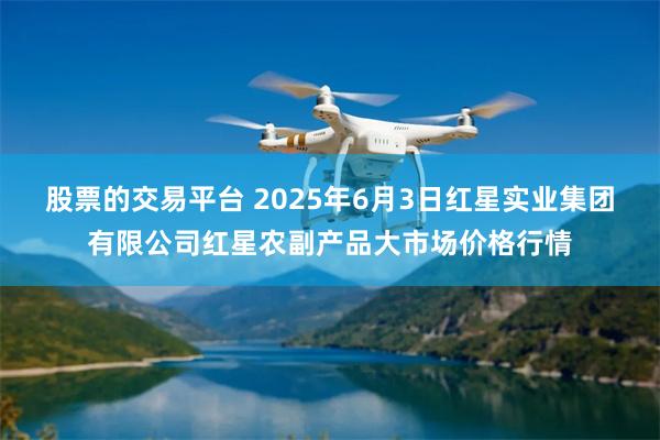 股票的交易平台 2025年6月3日红星实业集团有限公司红星农副产品大市场价格行情