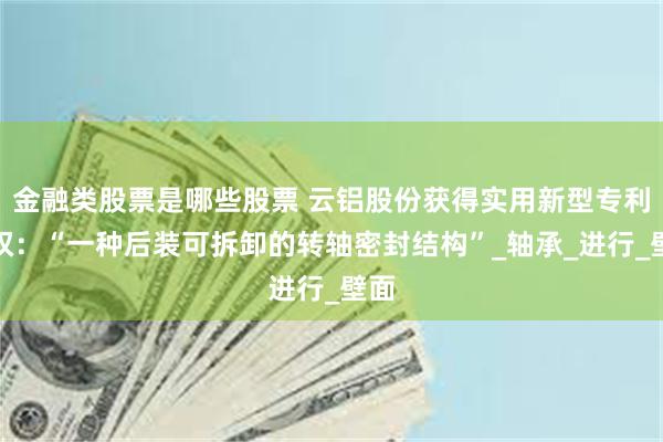 金融类股票是哪些股票 云铝股份获得实用新型专利授权：“一种后装可拆卸的转轴密封结构”_轴承_进行_壁面