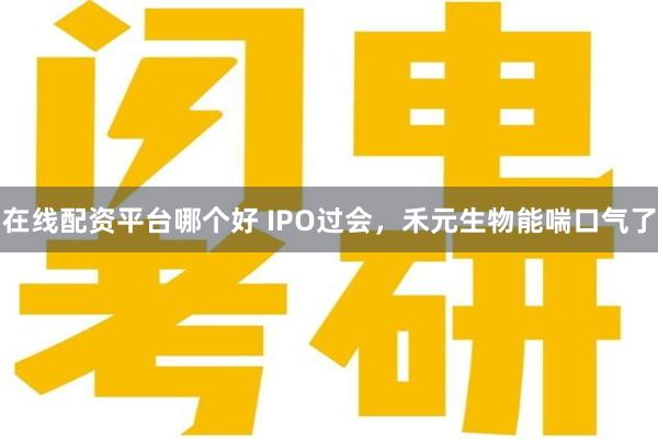 在线配资平台哪个好 IPO过会，禾元生物能喘口气了
