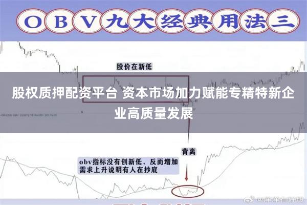 股权质押配资平台 资本市场加力赋能专精特新企业高质量发展