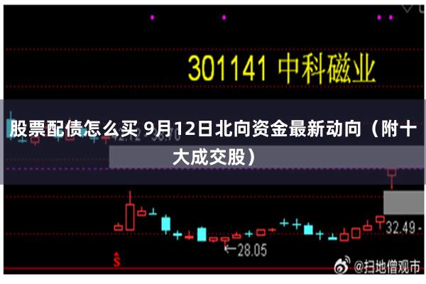 股票配债怎么买 9月12日北向资金最新动向（附十大成交股）